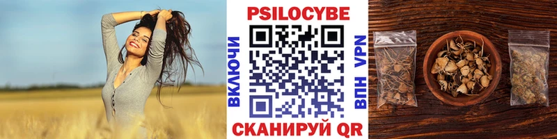 Галлюциногенные грибы Cubensis  где найти наркотики  Кашин 